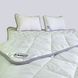 Комплект для сну двохспальний 160х200 Fagus "MAXI" з вовни мериносів колір Білий